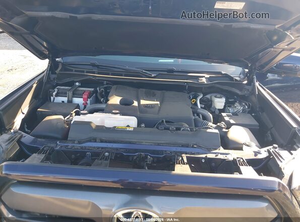5TFJA5DB2RX207696 2024 TOYOTA TUNDRA Dark Blue Вид сзади