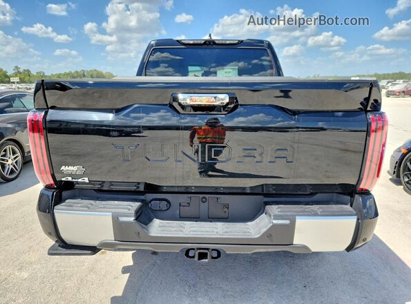 5TFJA5DB2SX324748 2025 TOYOTA TUNDRA Black Rear view