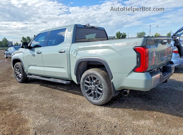 5TFJA5DB5NX046805 2022 TOYOTA TUNDRA Gray უკანა მარცხენა