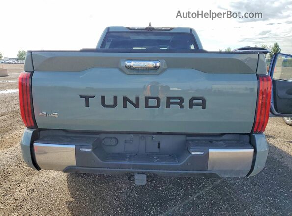 5TFJA5DB5NX046805 2022 TOYOTA TUNDRA Gray უკანა ხედი