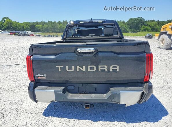 5TFJA5DB5PX062618 2023 TOYOTA TUNDRA Black Widok z tyłu