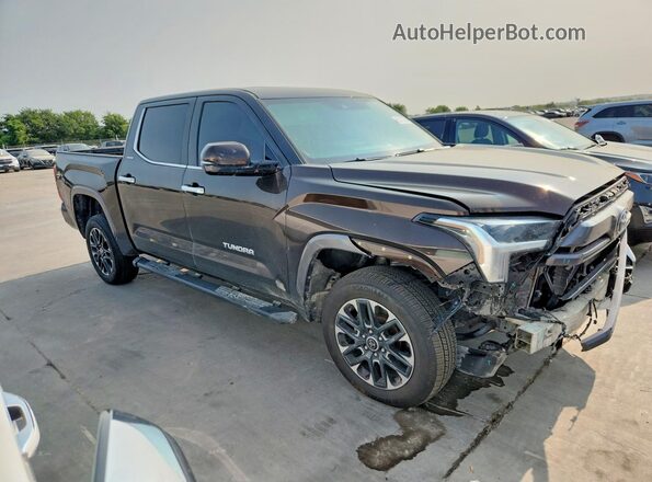 5TFJA5DB6RX159894 2024 TOYOTA TUNDRA Brown Przód prawy