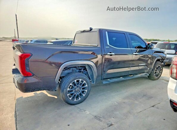 5TFJA5DB6RX159894 2024 TOYOTA TUNDRA Brown Tył prawy