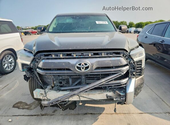 5TFJA5DB6RX159894 2024 TOYOTA TUNDRA Brown Widok z przodu