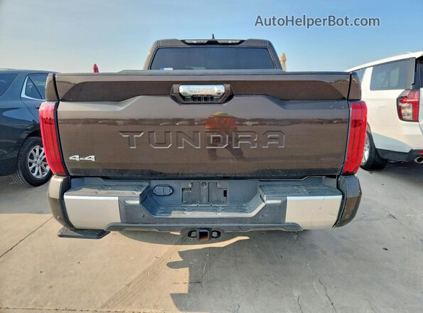 5TFJA5DB6RX159894 2024 TOYOTA TUNDRA Brown Widok z tyłu