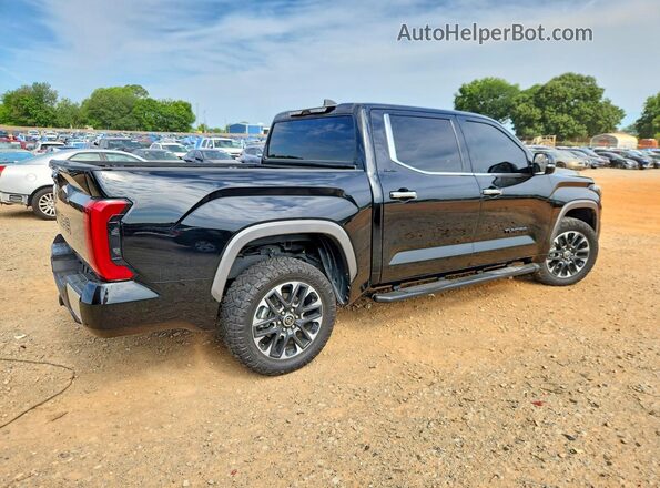 5TFJA5DB8RX210974 2024 TOYOTA TUNDRA Black Trasero derecho