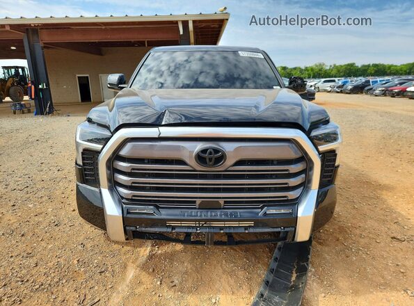 5TFJA5DB8RX210974 2024 TOYOTA TUNDRA Black Vista frontal