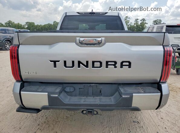 5TFJA5DB9RX233101 2024 TOYOTA TUNDRA Silver Rear view