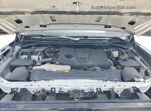 5TFKB5AB4RX034088 2024 TOYOTA TUNDRA White Вид задньої частини салону