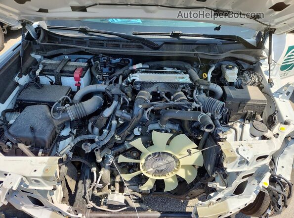 5TFKB5DA5SX284481 2025 TOYOTA TUNDRA White Вид задньої частини салону