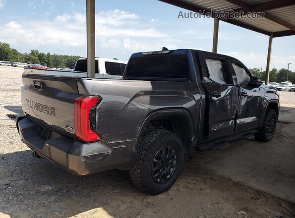 5TFKB5DB0SX323308 2025 TOYOTA TUNDRA Gray Widok wnętrza 360 stopni
