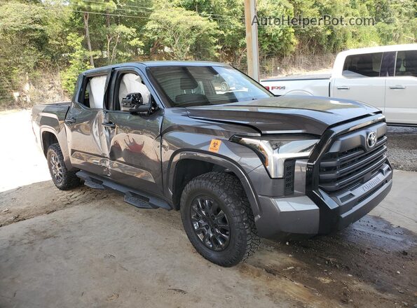 5TFKB5DB0SX323308 2025 TOYOTA TUNDRA Gray 
