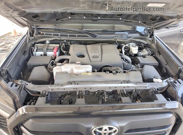 5TFKB5DB0SX323308 2025 TOYOTA TUNDRA Gray Widok wnętrza z tyłu