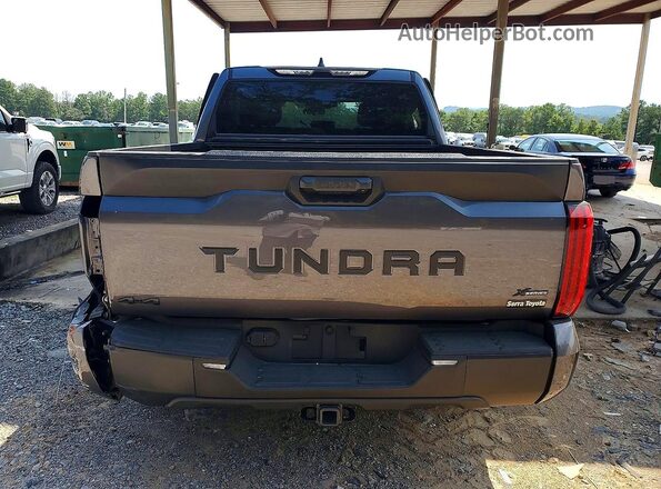 5TFKB5DB0SX323308 2025 TOYOTA TUNDRA Gray Widok z tyłu