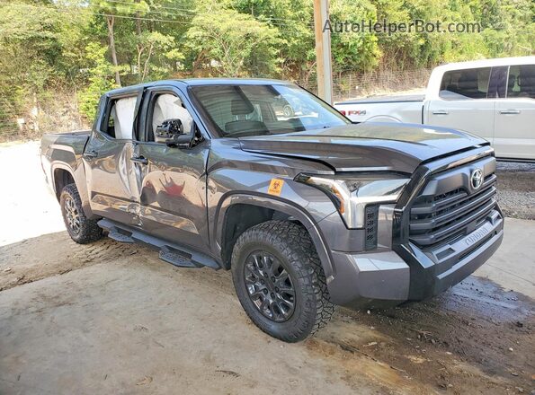 5TFKB5DB0SX323308 2025 TOYOTA TUNDRA Gray Przód prawy