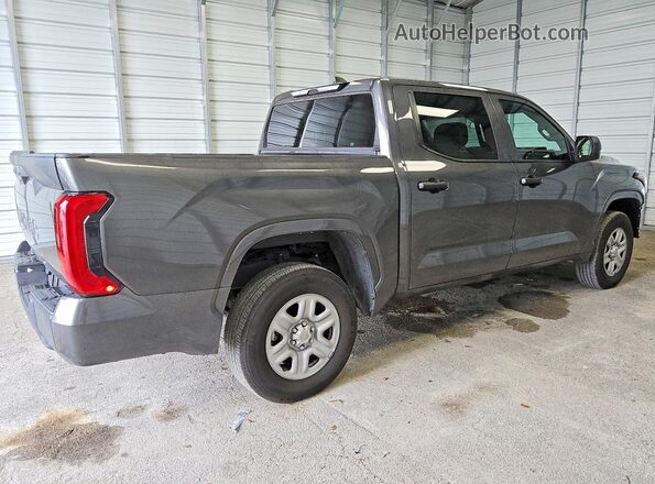5TFKB5DBXSX297378 2025 TOYOTA TUNDRA Gray უკანა მარჯვენა