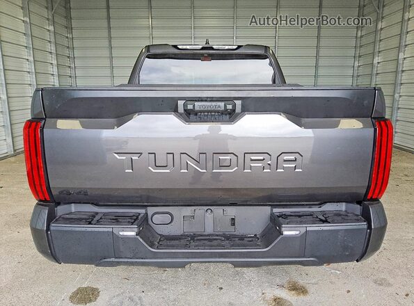 5TFKB5DBXSX297378 2025 TOYOTA TUNDRA Gray უკანა ხედი