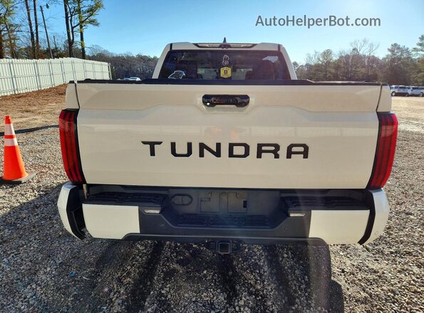 5TFLA5AB2NX017288 2022 TOYOTA TUNDRA Белый Панорамный вид салона 360°