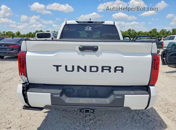 5TFLA5AB6SX041623 2025 TOYOTA TUNDRA White Vista trasera