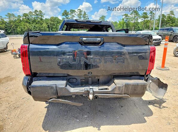 5TFLA5AB8SX047536 2025 TOYOTA TUNDRA Черный Вид сзади