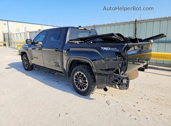 5TFLA5ABXRX034569 2024 TOYOTA TUNDRA Black Trasero izquierdo