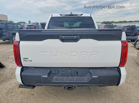 5TFLA5DB0RX142176 2024 TOYOTA TUNDRA Белый Вид сзади
