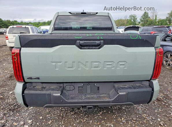 5TFLA5DB0TX409565 2026 TOYOTA TUNDRA Green Հետևի տեսք