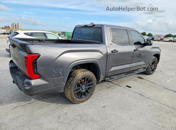 5TFLA5DB1PX090098 2023 TOYOTA TUNDRA Gray Rear right