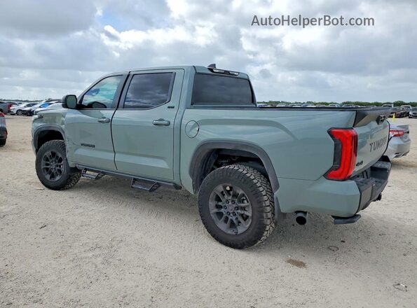 5TFLA5DB2RX236916 2024 TOYOTA TUNDRA Gray Tył lewy