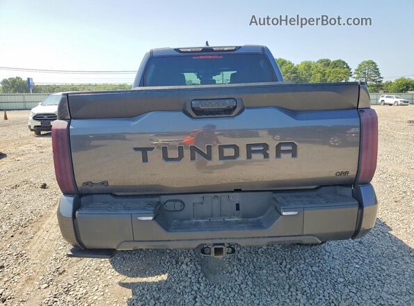 5TFLA5DB2SX260638 2025 TOYOTA TUNDRA Gray Vista trasera