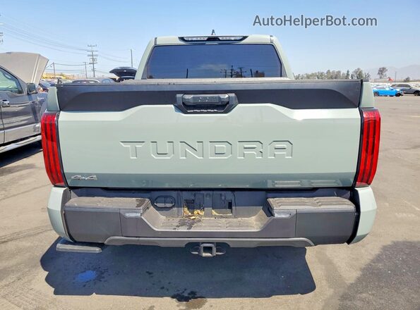5TFLA5DB2SX292554 2025 TOYOTA TUNDRA Зеленый Вид сзади