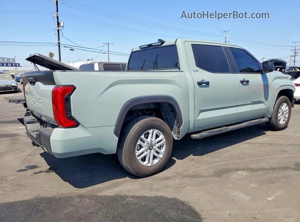 5TFLA5DB2SX292554 2025 TOYOTA TUNDRA Зеленый Задняя правая четверть