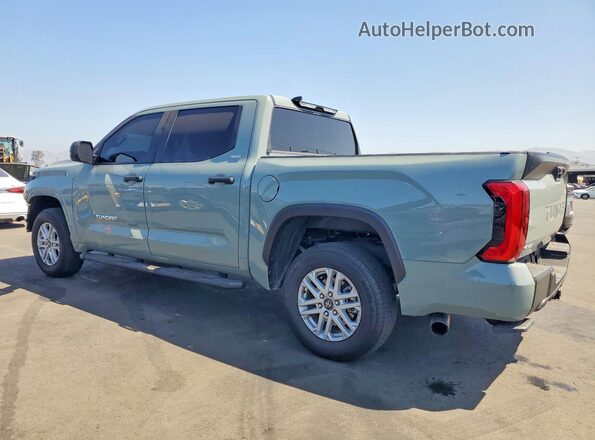 5TFLA5DB2SX292554 2025 TOYOTA TUNDRA Зеленый Задняя левая четверть