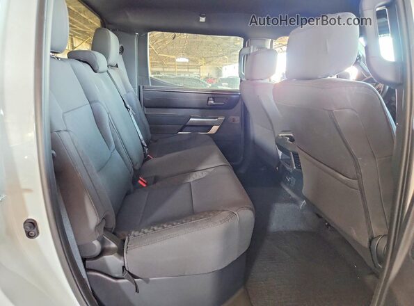 5TFLA5DB2TX424097 2026 TOYOTA TUNDRA Белый Вид задних сидений