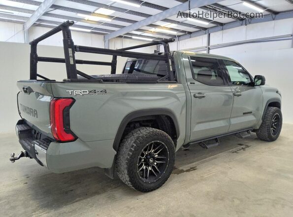 5TFLA5DB4PX119447 2023 TOYOTA TUNDRA Green Задня права чверть