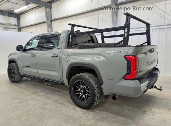 5TFLA5DB4PX119447 2023 TOYOTA TUNDRA Green Задня ліва чверть