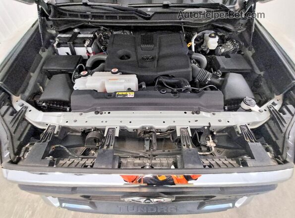 5TFLA5DB4PX119447 2023 TOYOTA TUNDRA Green Вид задньої частини салону