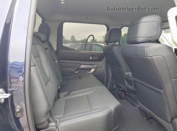 5TFLA5DB4RX206591 2024 TOYOTA TUNDRA Blue Rear seats view
