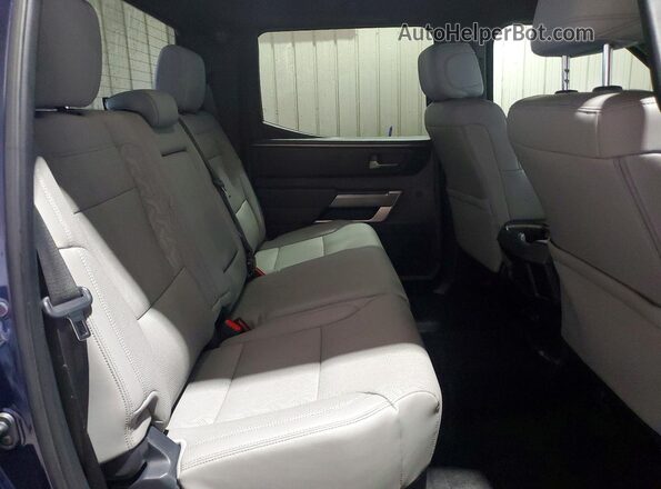 5TFLA5DB4SX254078 2025 TOYOTA TUNDRA Blue Rear seats view