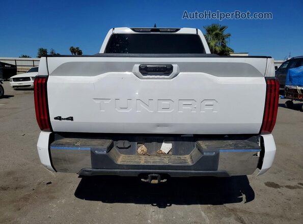 5TFLA5DB5PX105797 2023 TOYOTA TUNDRA White Rear view