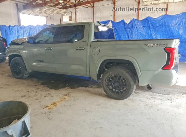 5TFLA5DB7PX078019 2023 TOYOTA TUNDRA Gray Tył lewy