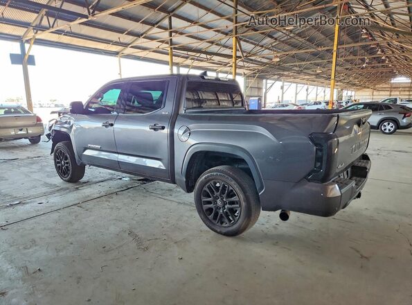 5TFLA5DB8NX014181 2022 TOYOTA TUNDRA Gray Задня ліва чверть
