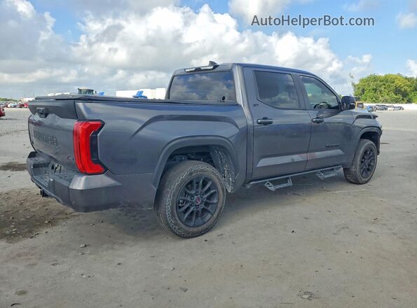 5TFLA5DB9RX212872 2024 TOYOTA TUNDRA Gray Rear right