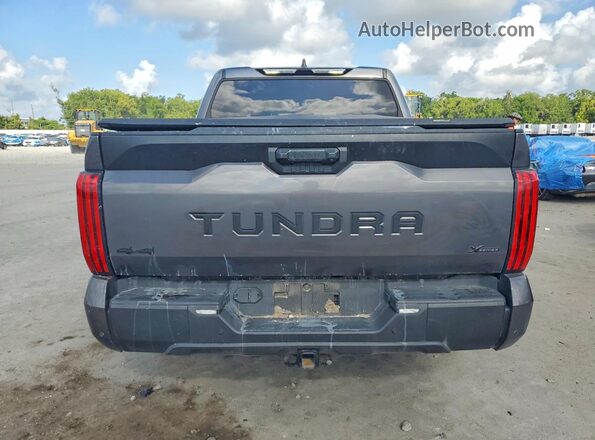5TFLA5DB9RX212872 2024 TOYOTA TUNDRA Gray Rear view