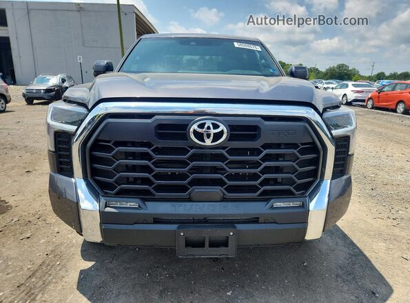5TFLA5DBXSX278949 2025 TOYOTA TUNDRA Серый Вид спереди
