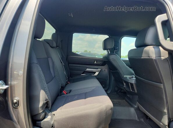 5TFLA5DBXSX278949 2025 TOYOTA TUNDRA Серый Вид задних сидений