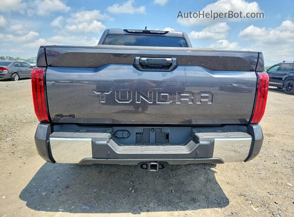 5TFLA5DBXSX278949 2025 TOYOTA TUNDRA Серый Вид сзади