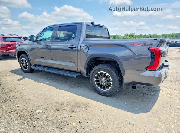 5TFLA5DBXSX278949 2025 TOYOTA TUNDRA Серый Задняя левая четверть