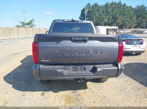 5TFLA5DBXSX322285 2025 TOYOTA TUNDRA Gray 