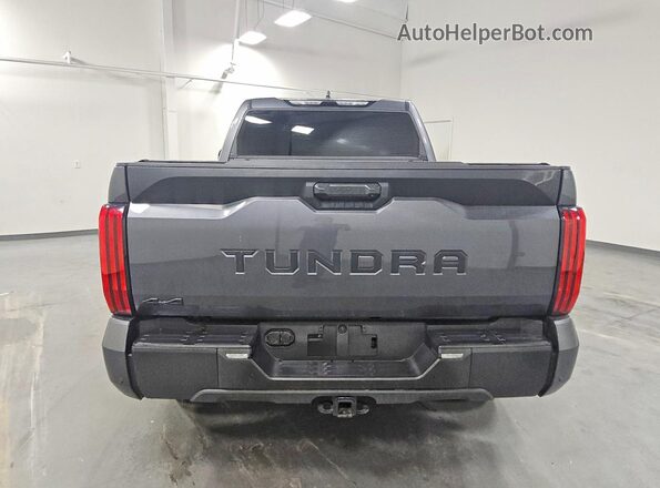 5TFLA5EC5TX051256 2026 TOYOTA TUNDRA Gray Հետևի տեսք